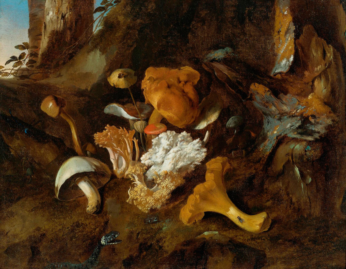 "A Forest Floor Still Life with Mushrooms and a Snake" by Otto Marseus van Schrieck. 1657