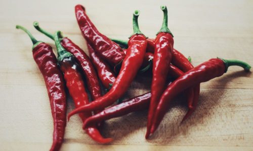 A Perk of Our Evolution: Pleasure in Pain of Chilies - The New