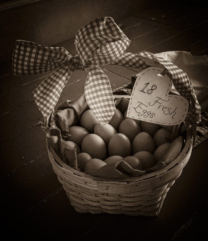 Will Getting Chickens Ruin My Life-11