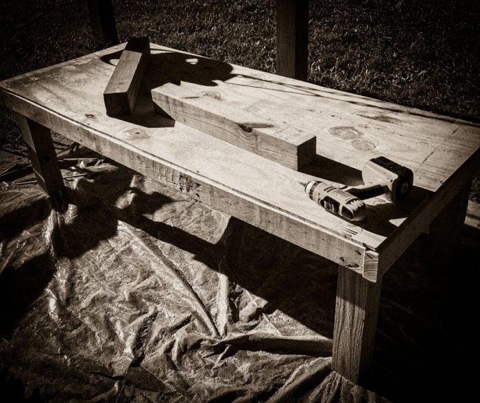 Will Getting Chickens Ruin My Life-9